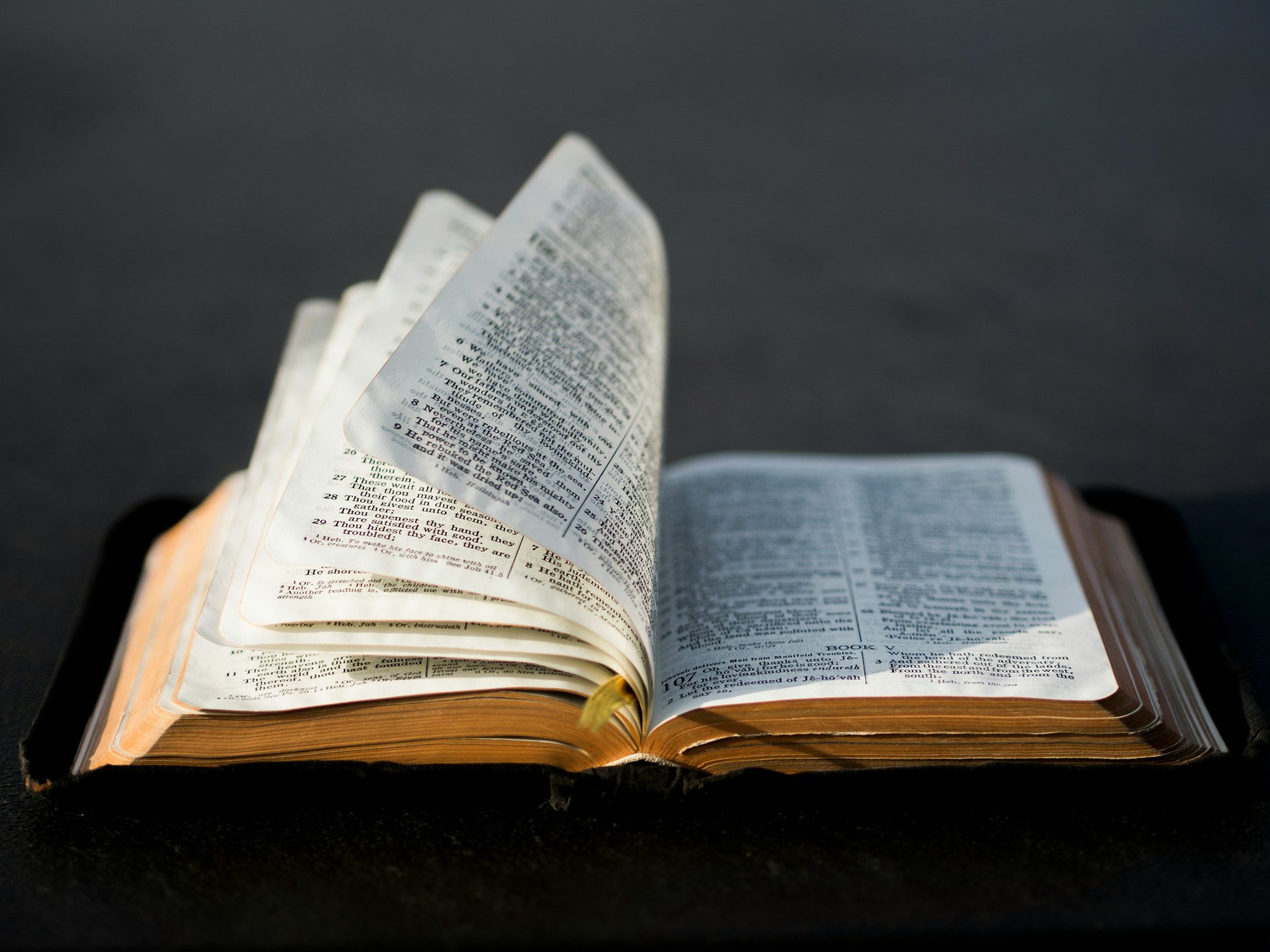 Bibbia
